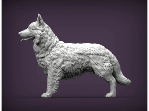 Border Collie 3D Print Model