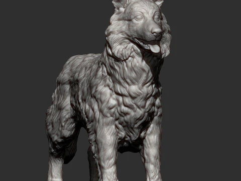 Border Collie 3D Print Model