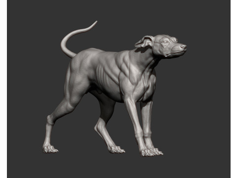 Greyhound dog Model Cetak 3D