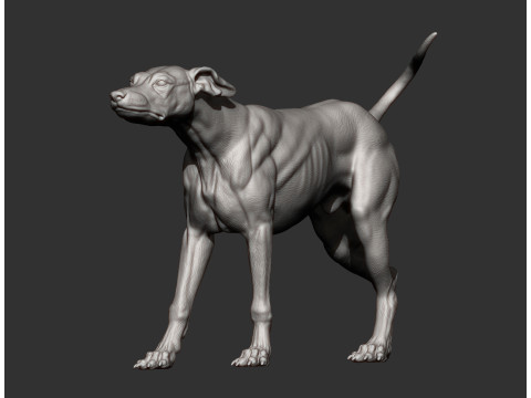 Greyhound dog Model Cetak 3D