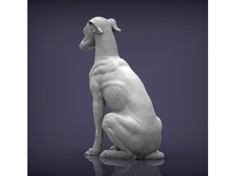 Greyhound dog Model Cetak 3D