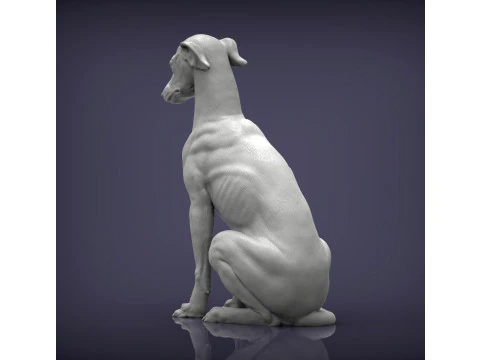 Greyhound dog 3D Print Model