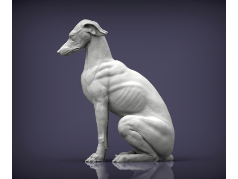 Greyhound dog Model Cetak 3D