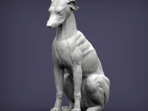 Greyhound dog Model Cetak 3D