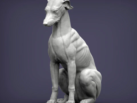 Greyhound dog 3D Print Model