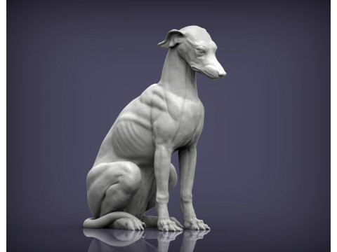 Greyhound dog Model Cetak 3D
