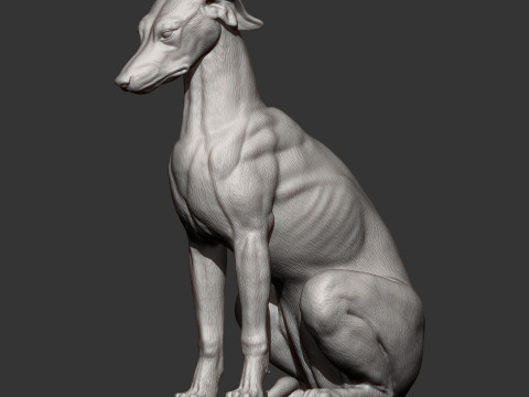 Greyhound dog Model Cetak 3D
