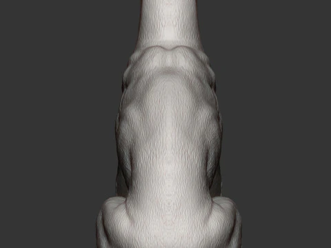 Greyhound dog 3D Print Model