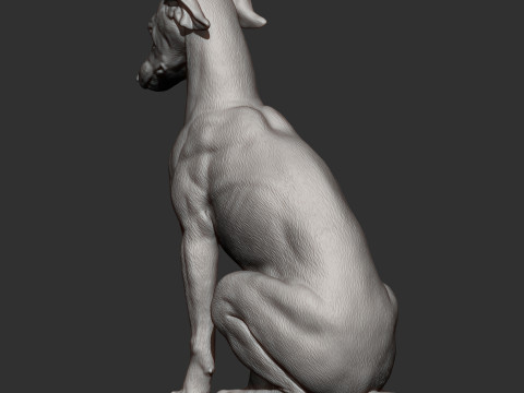 Greyhound dog Model Cetak 3D