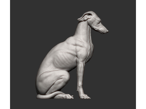 Greyhound dog Model Cetak 3D