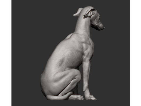 Greyhound dog Model Cetak 3D