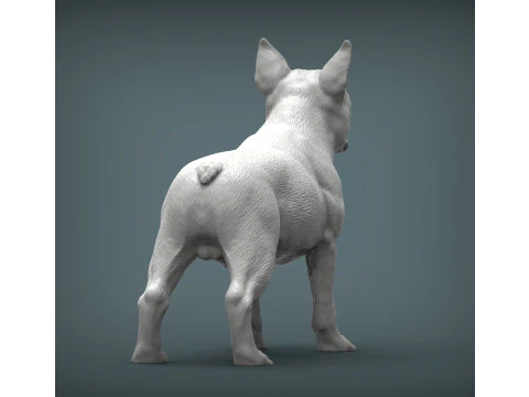 Boston-terrier Modello di stampa 3D