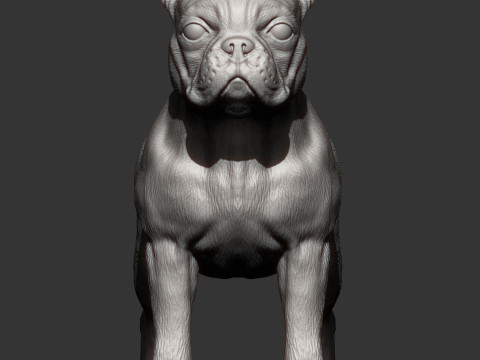 Boston terrier Model do druku 3D
