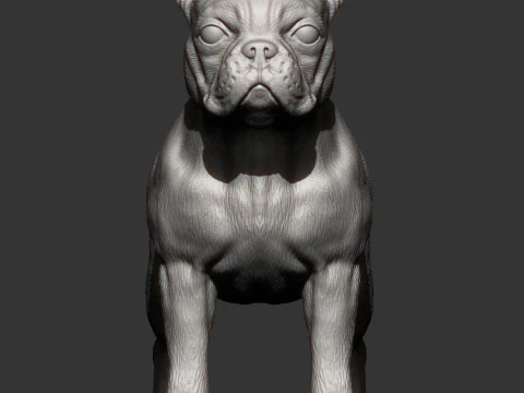 Boston-terrier Modello di stampa 3D