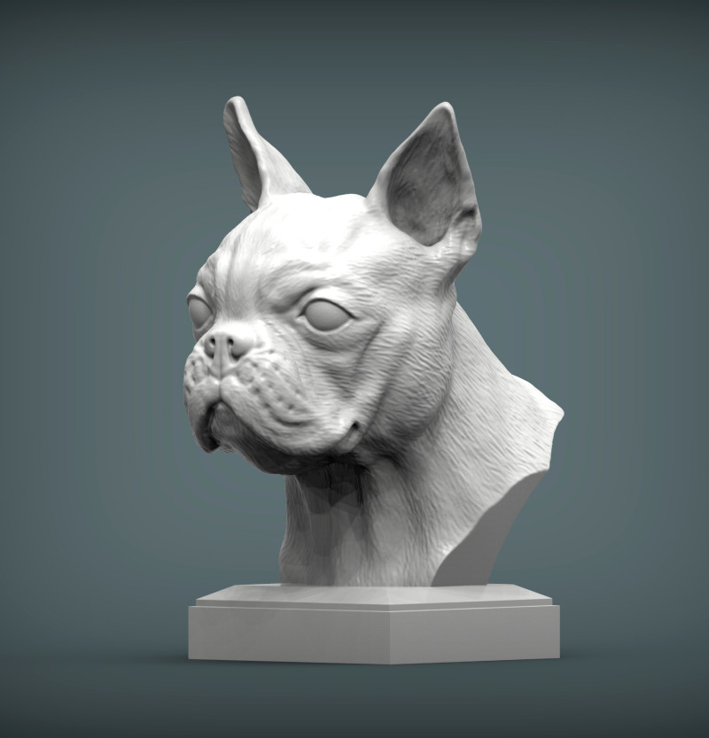 Boston terrier 3D प्रिंट मॉडल .c4d .max .obj .3ds .fbx .stl .blend