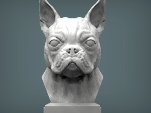 Boston terrier 3D प्रिंट मॉडल