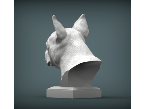Boston terrier 3D प्रिंट मॉडल
