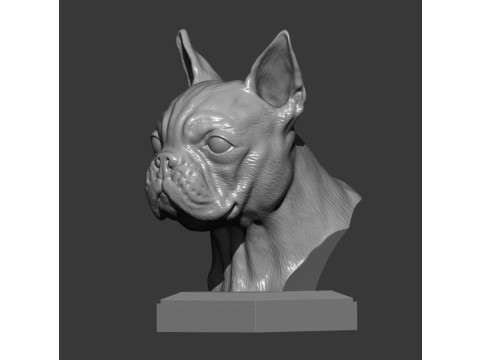 Boston terrier 3D प्रिंट मॉडल