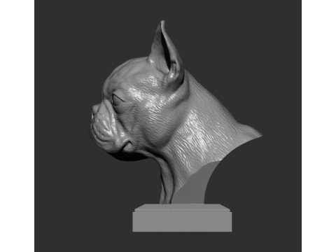 Boston terrier 3D प्रिंट मॉडल