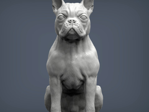 Boston terrier Modèles 3D en vedette