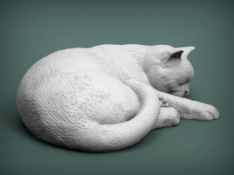 British shorthair cat Modelo de impresión 3D