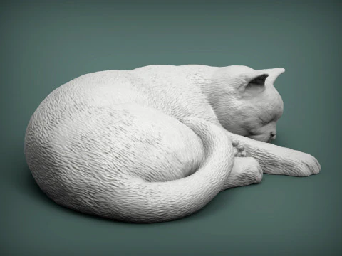 Gatto britannico a pelo corto Modello di stampa 3D