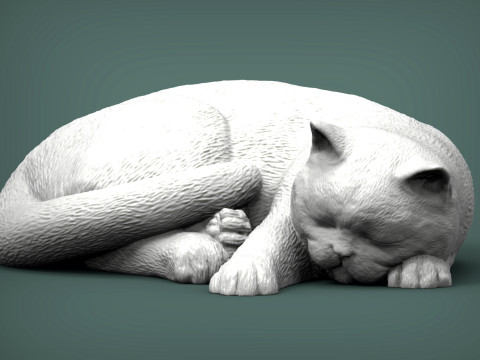 British shorthair cat 3D Принт Модель