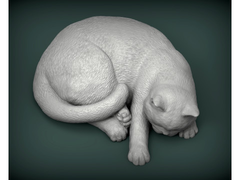 British shorthair cat 3D Принт Модель