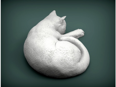 British shorthair cat 3D Принт Модель