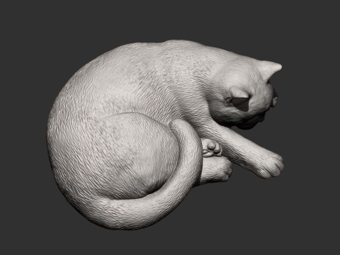 British shorthair cat 3D Принт Модель