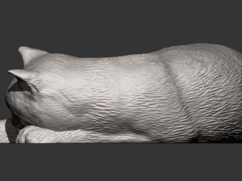 British shorthair cat 3D Принт Модель