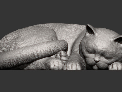 British shorthair cat 3D Принт Модель