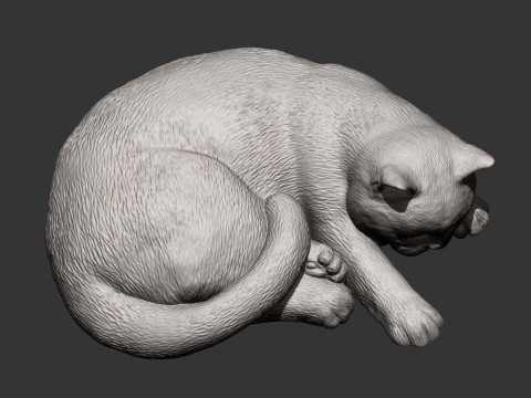 British shorthair cat 3D Принт Модель
