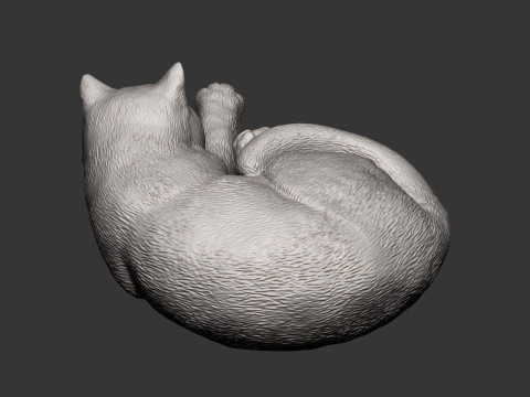 British shorthair cat 3D Принт Модель