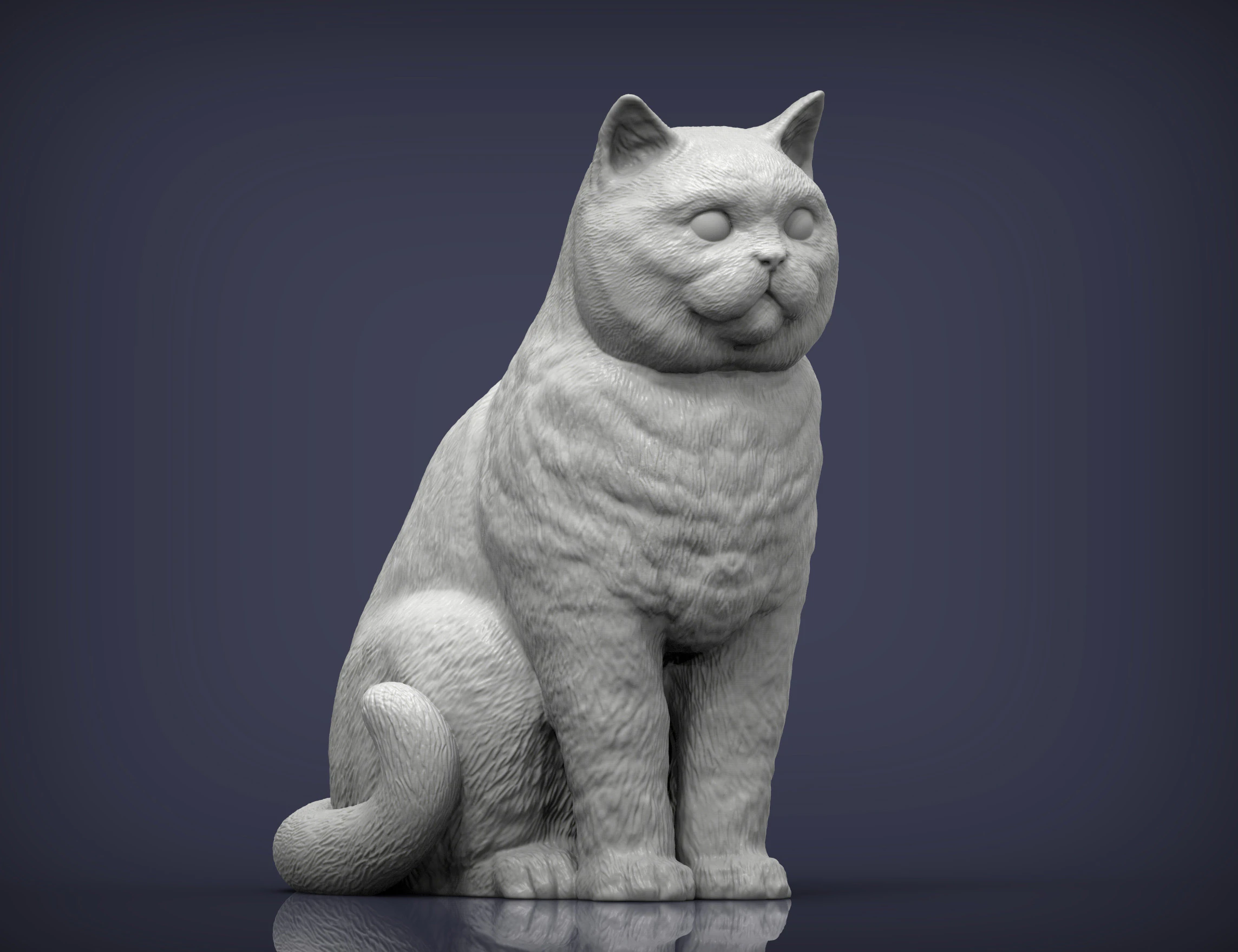 British shorthair cat 3D Print Model .c4d .max .obj .3ds .fbx .stl .blend