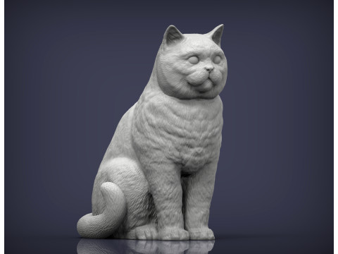 British shorthair cat 3D Print Model
