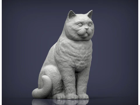 Британская короткошерстная кошка 3D Принт Модель