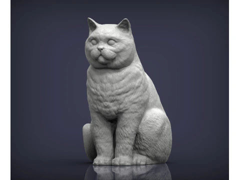British shorthair cat 3D Print Model
