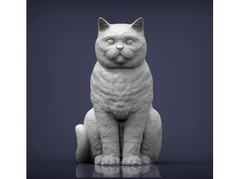 British shorthair cat 3D Print Model