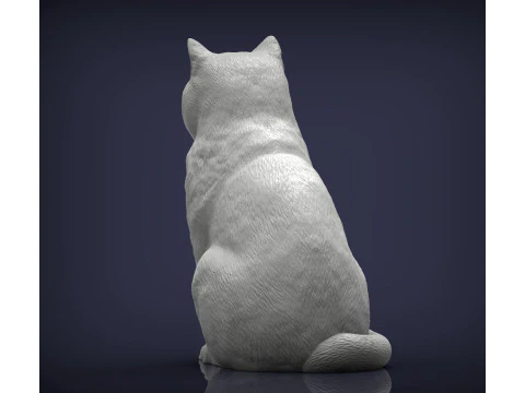 British shorthair cat 3D Print Model