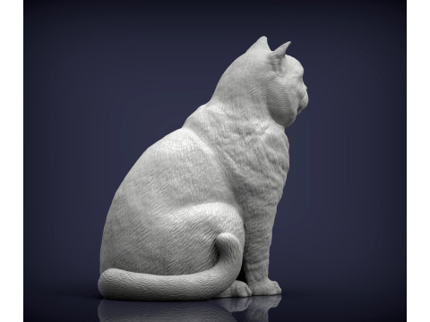 British shorthair cat 3D 打印模型