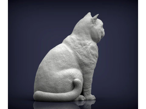 British shorthair cat 3D Print Model