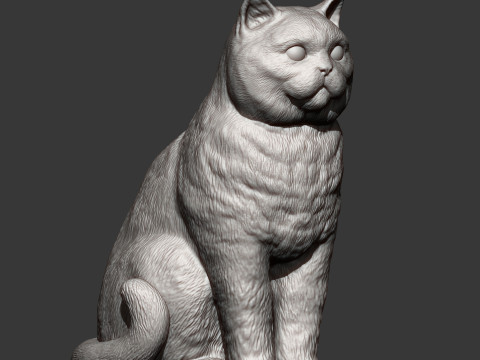 British shorthair cat 3D 打印模型