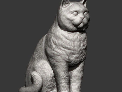 British shorthair cat 3D Print Model