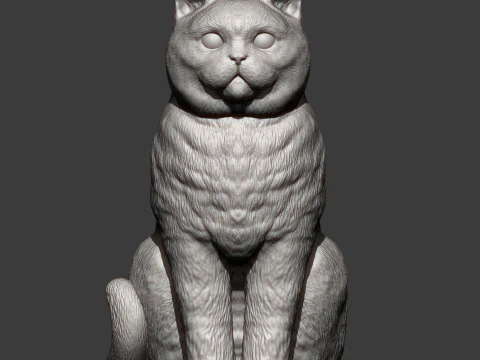 British shorthair cat 3D Print Model