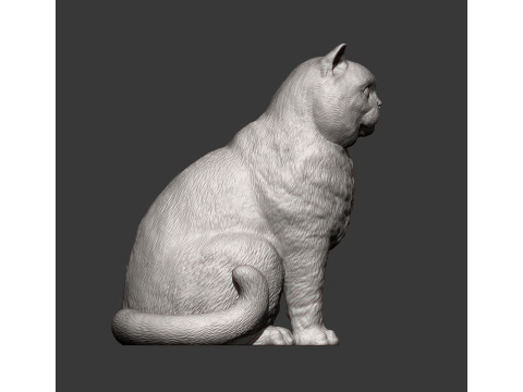 British shorthair cat 3D 打印模型