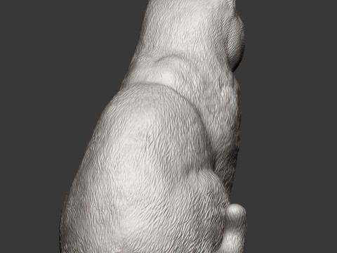 British shorthair cat 3D 打印模型