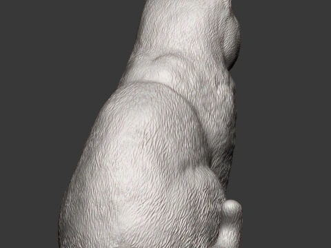 British shorthair cat 3D Print Model