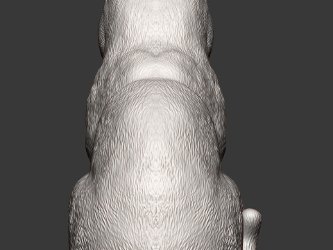 British shorthair cat 3D 打印模型