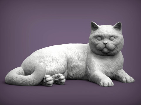 British shorthair cat 3D Print Model
